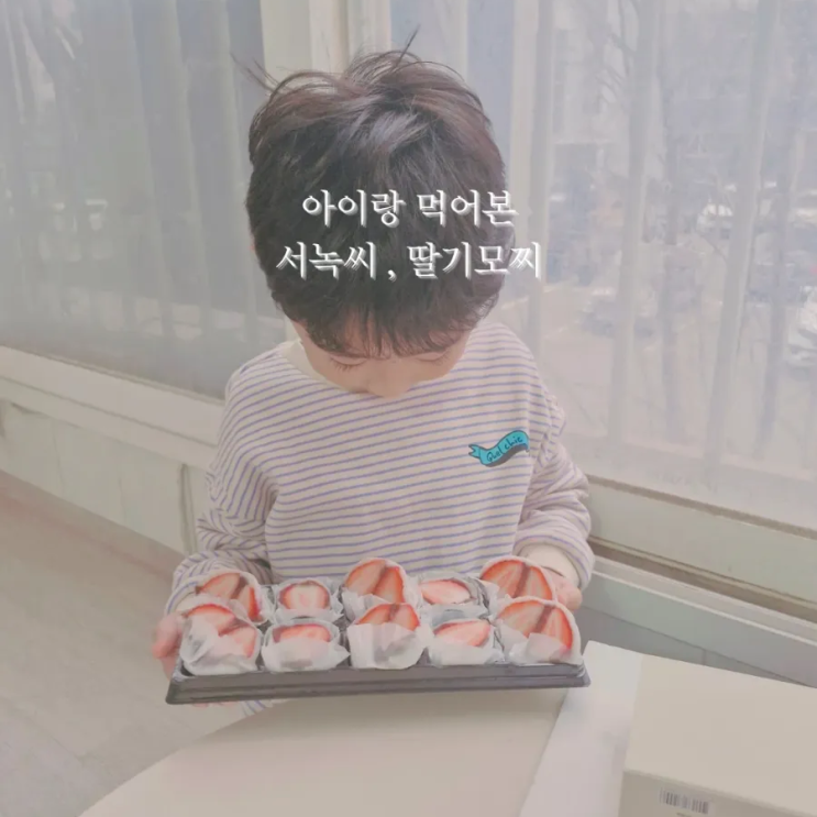  아이가 좋아한 서녹씨 원조 딸기 모찌 세트, 과일모찌 간식 후기
