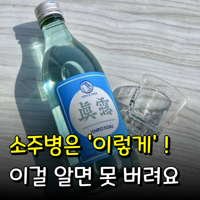 앞으로 "소주 병" 그냥 버리지 마세요, "이렇게" 활용하면 다이소 추천템 안 부럽습니다