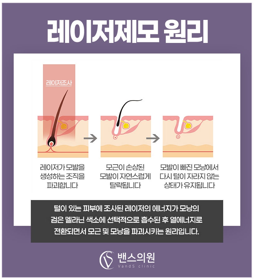 미금 밴스의원 사진 4