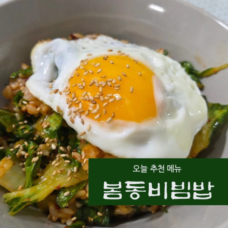강호동 봄동비빔밥 레시피 봄동무침 봄동가격