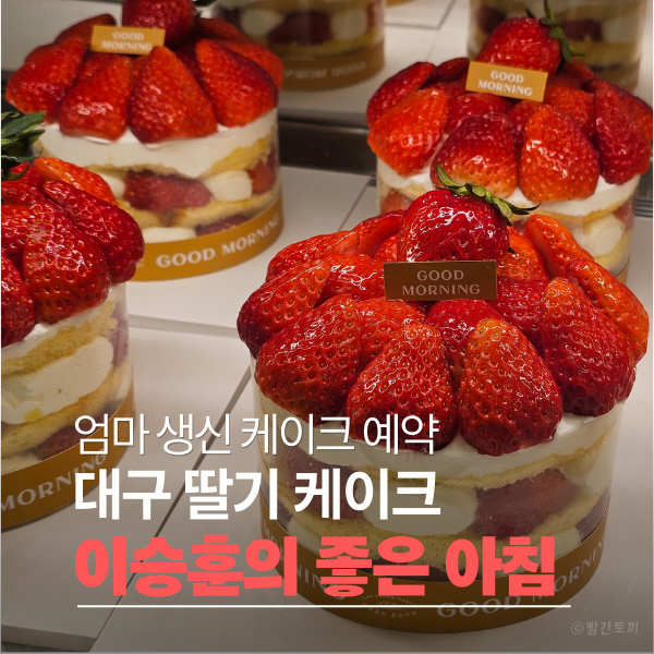  대구 생신 케이크 예약｜이승훈의 좋은 아침 딸기 케이크 (가격·종류)