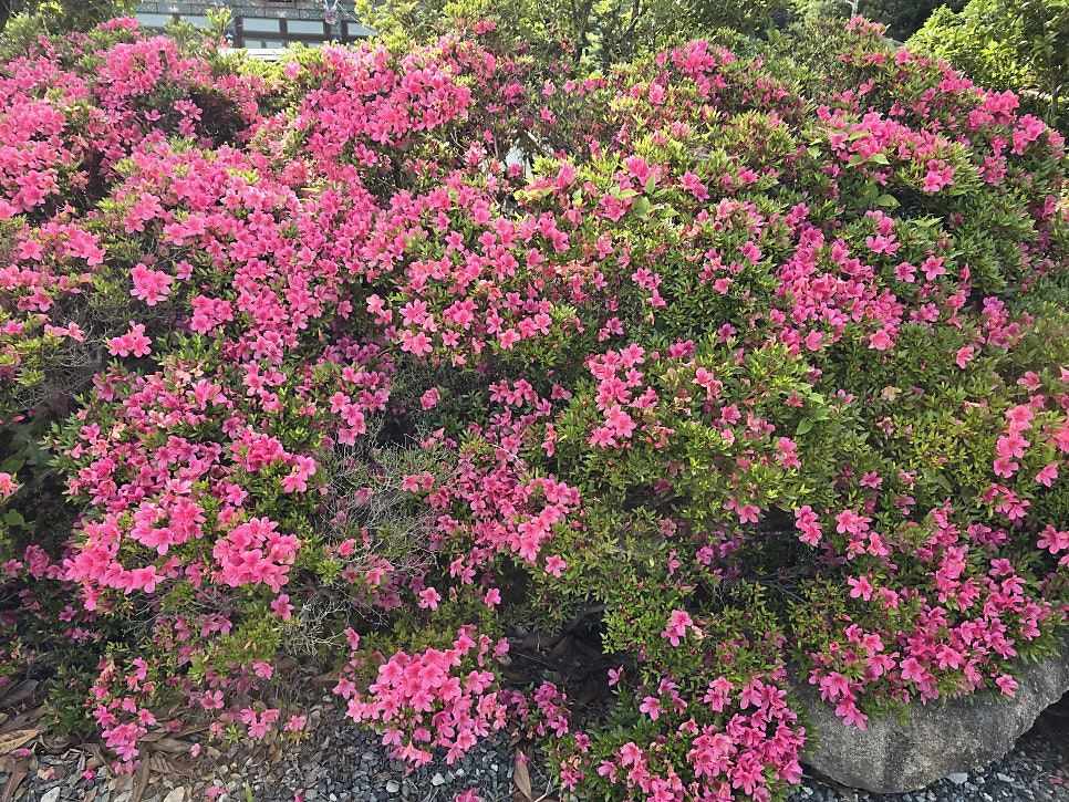 굴방산 사진 5