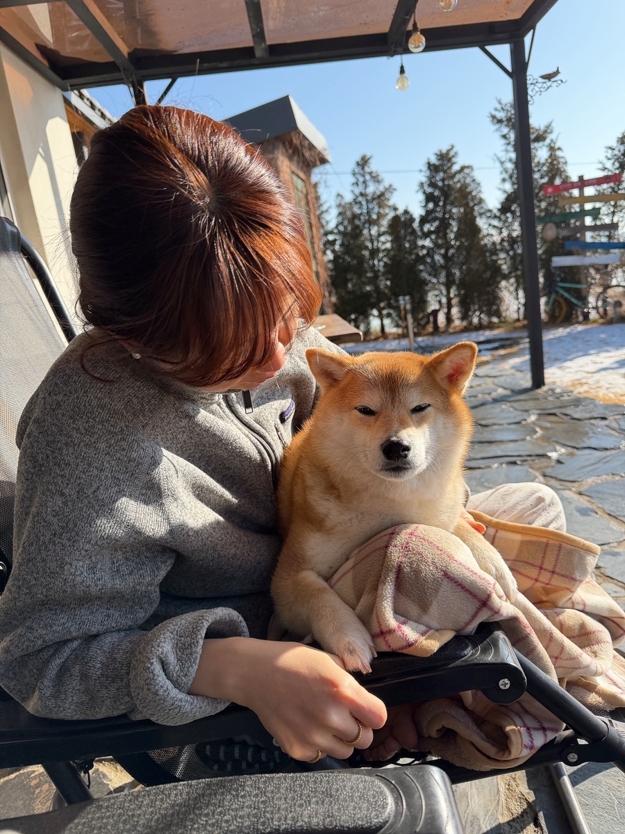 초하루 사진 6