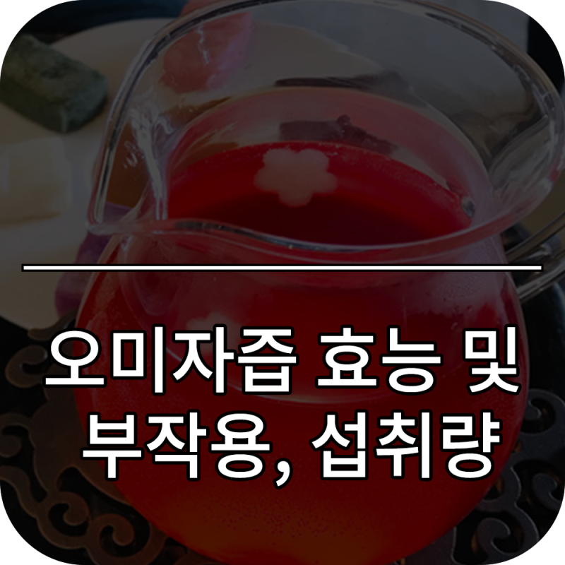 오미자즙 효능 부작용 및 하루 권장 섭취량 : 호흡기 보호와 활력 충전법
