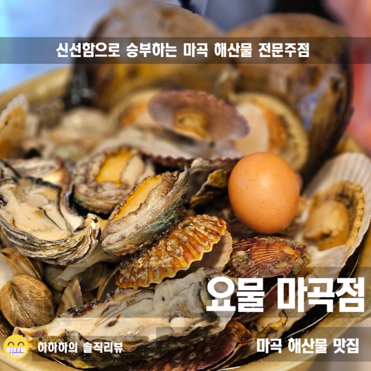  강서구맛집 발산역 요물 해산물찜