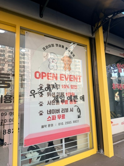 사진 4