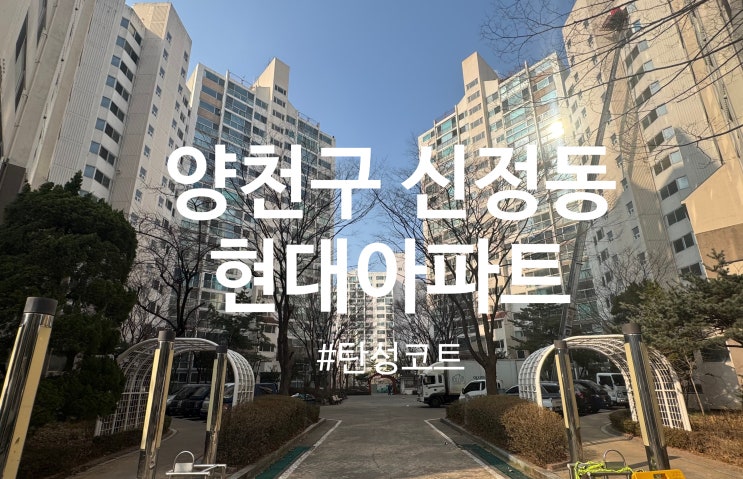  양천구 신정동 목동 현대아파트 탄성코트 시공 (달빛탄성)
