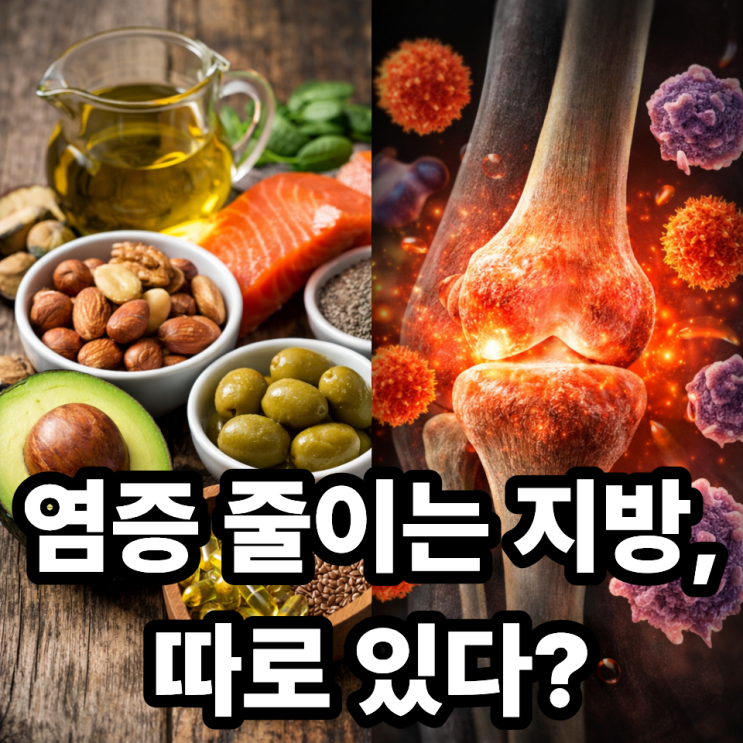  불포화지방과 염증 감소의 상관관계｜만성 염증을 낮추는 식습관 포인트