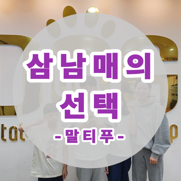  삼남매의 행복한 말티푸 분양 후기 세종 강아지분양 원독 애견분양 센터