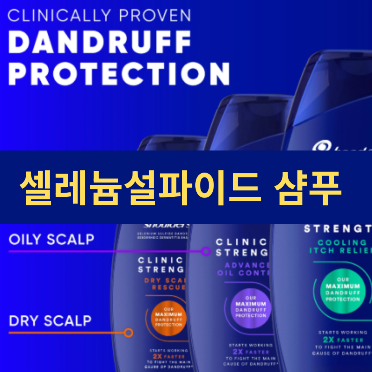  셀레늄설파이드 샴푸 효능 부작용 및 사용법 | 비듬 지루성 두피염 완화 샴푸
