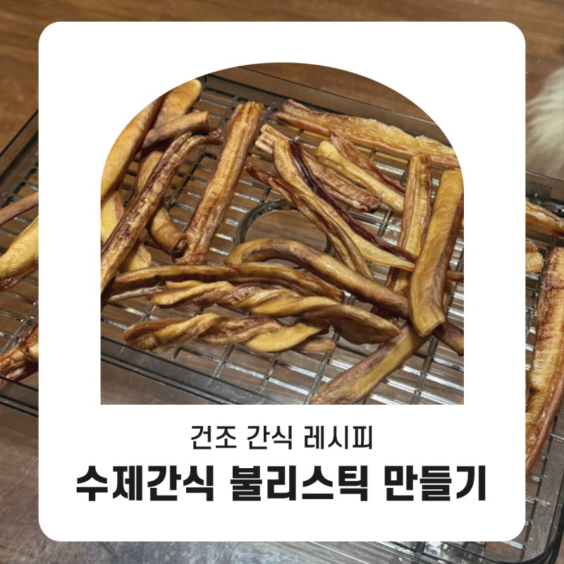 오래 먹는 강아지 간식, 불리 스틱 수제간식 만들기 | 건조 간식 레시피