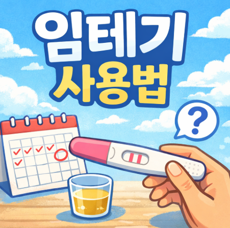  임테기 사용법 언제부터 정확할까? 두 줄 확인 시점과 판독 시간 정리