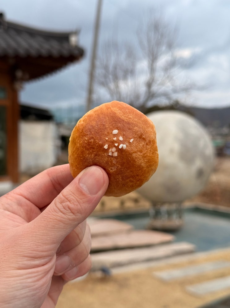  [경주 맛집] 경주 본가 갔다가 강원도 친구들 입덕시킨 소금소금한 '월지빵', 10개로 부족해!