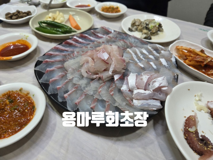  [부산 맛집] 용마루 회초장