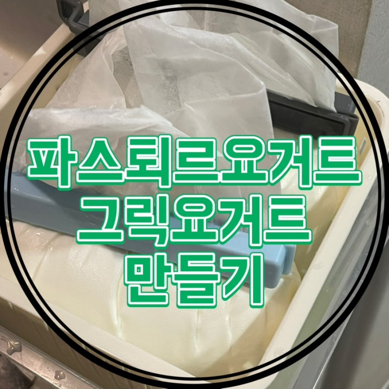 [건강/레시피] 그릭요거트 만들기 다이소 야매 유청분리기 파스퇴르플레인요거트 추천