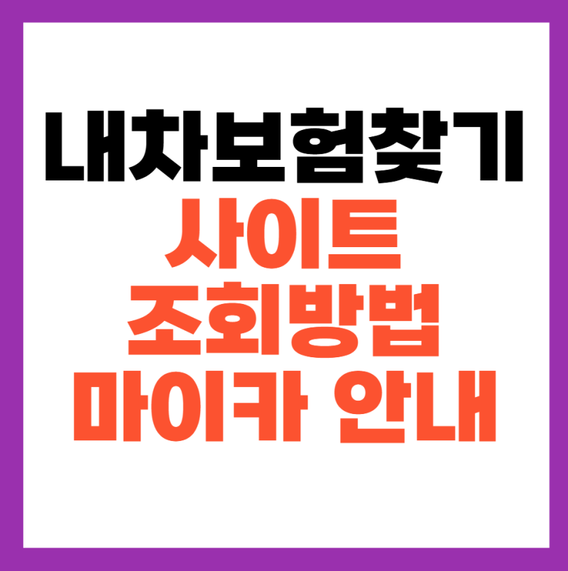 내차보험찾기 사이트 조회 방법 마이카 안내