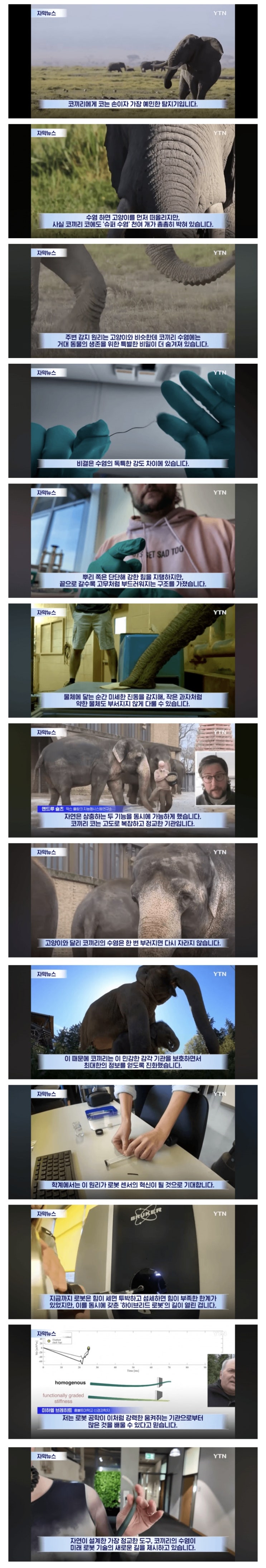  로봇 센서의 혁신 될 것,  코끼리 수염의 새로운 발견