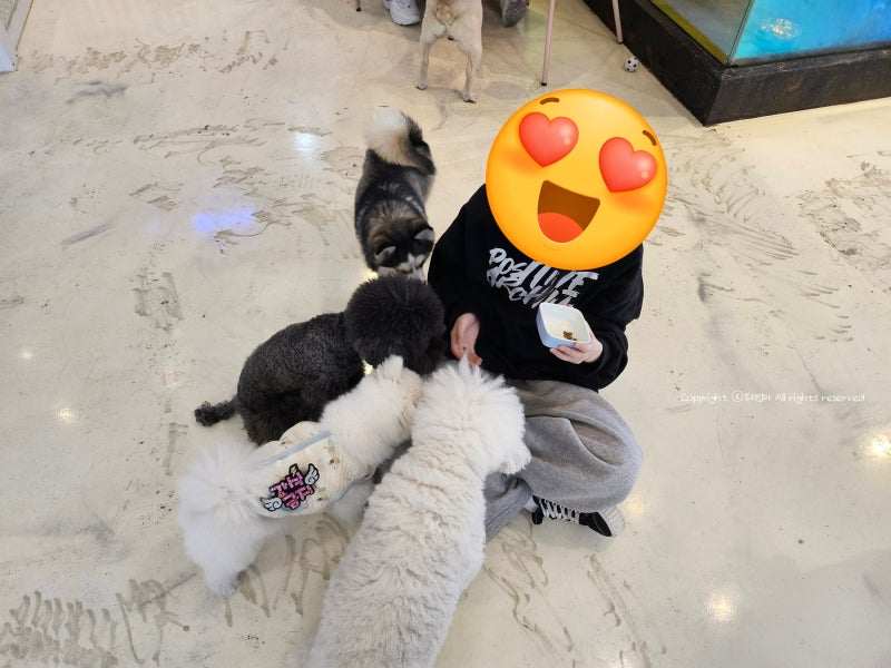 사진 7