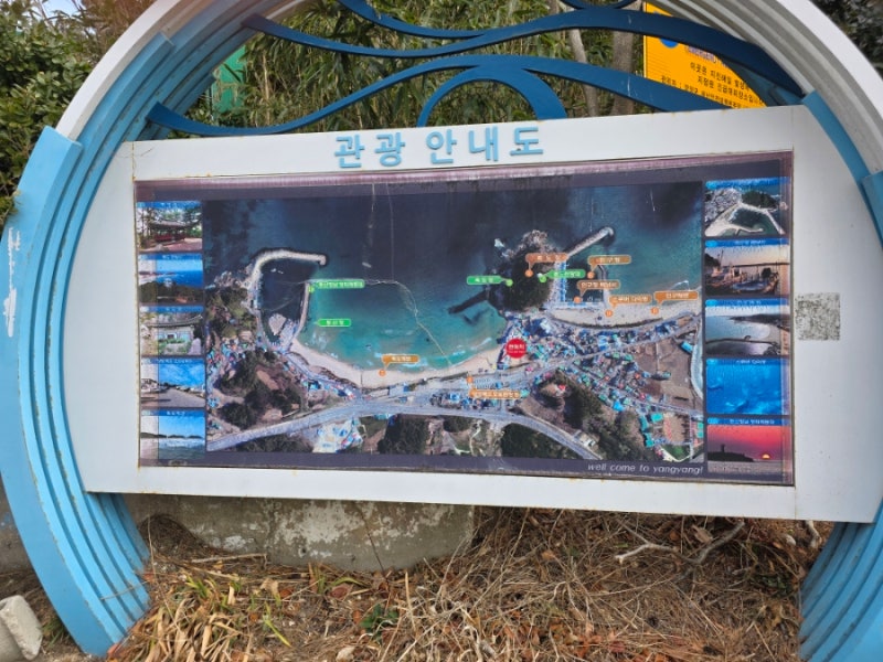 사진 5