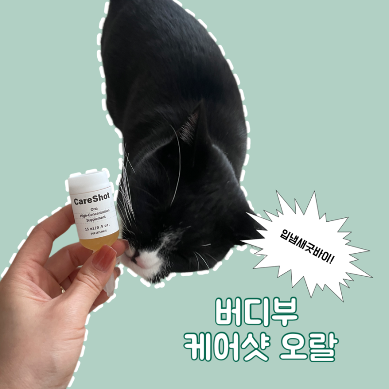 수의사도 추천하는 영양제 [버디부 케어샷 오랄] 고양이 입냄새! GooD ByE!