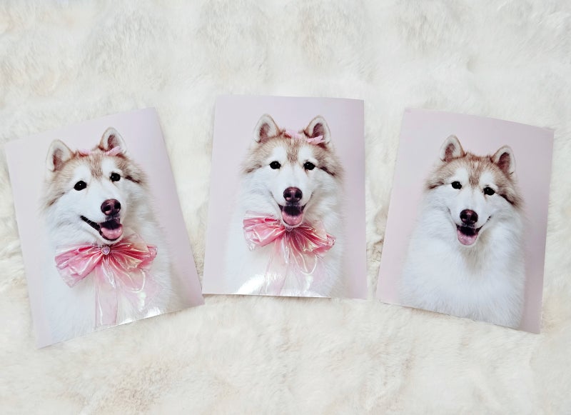 사진 3