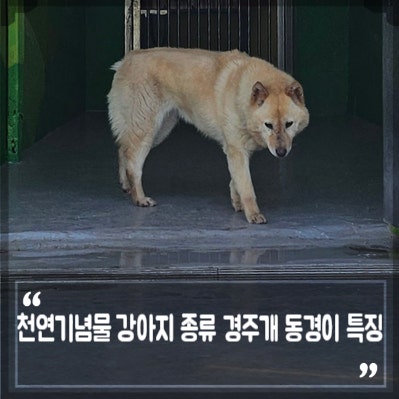 사진 2