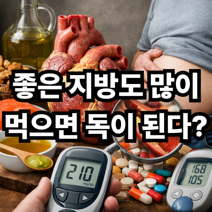  불포화지방 과다 섭취, 건강에 좋다던데 왜 문제가 될까?