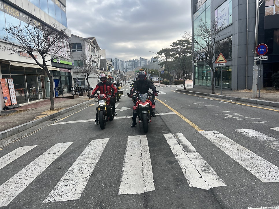 1010 브릿지 사진 6