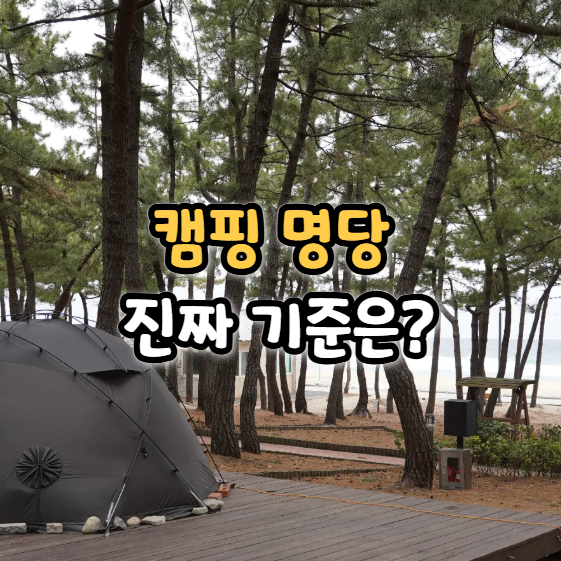 봄 캠핑, 과연 이 자리가 명당일까? 캠핑장 사이트 선택 기준