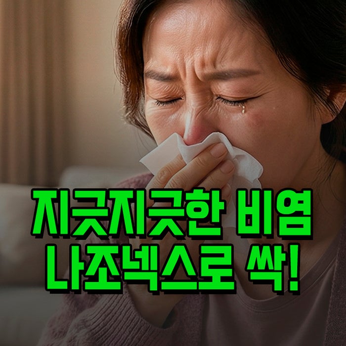 나조넥스 나잘스프레이 사용법 부작용 사용기간