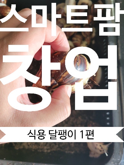 ▶스마트팜 창업◀ 실패 없는 1억 창업의 비밀: 식용 달팽이 '아프리카 왕달팽이' 「1편」