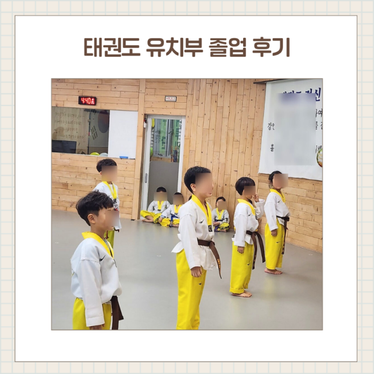  초등학교 입학 전 태권도 고민이라면 / 실제 유치부 졸업 후기