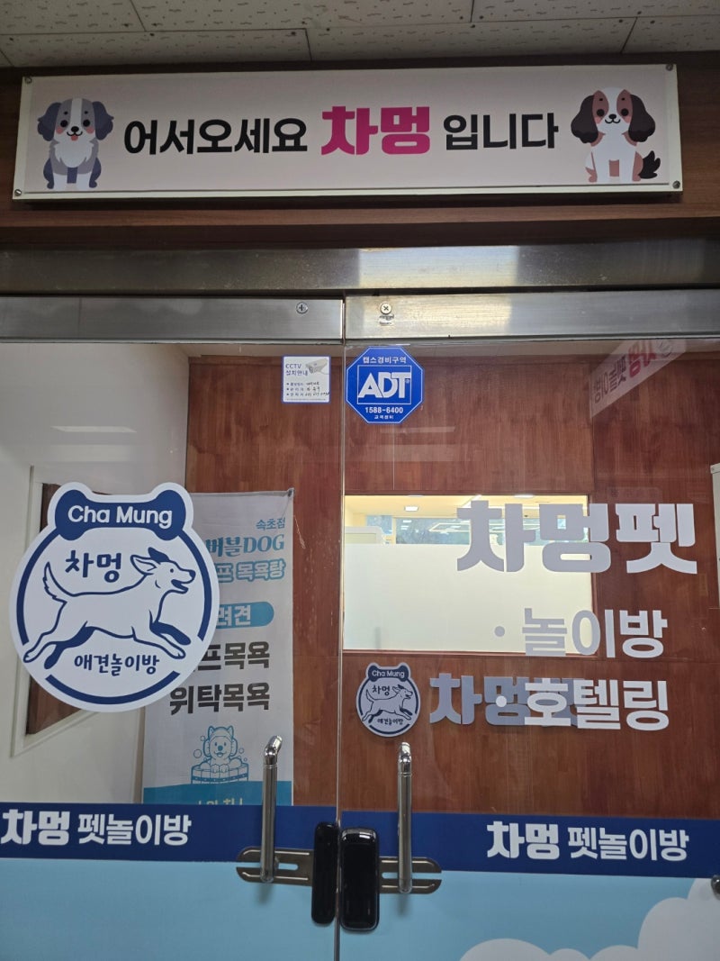 사진 2