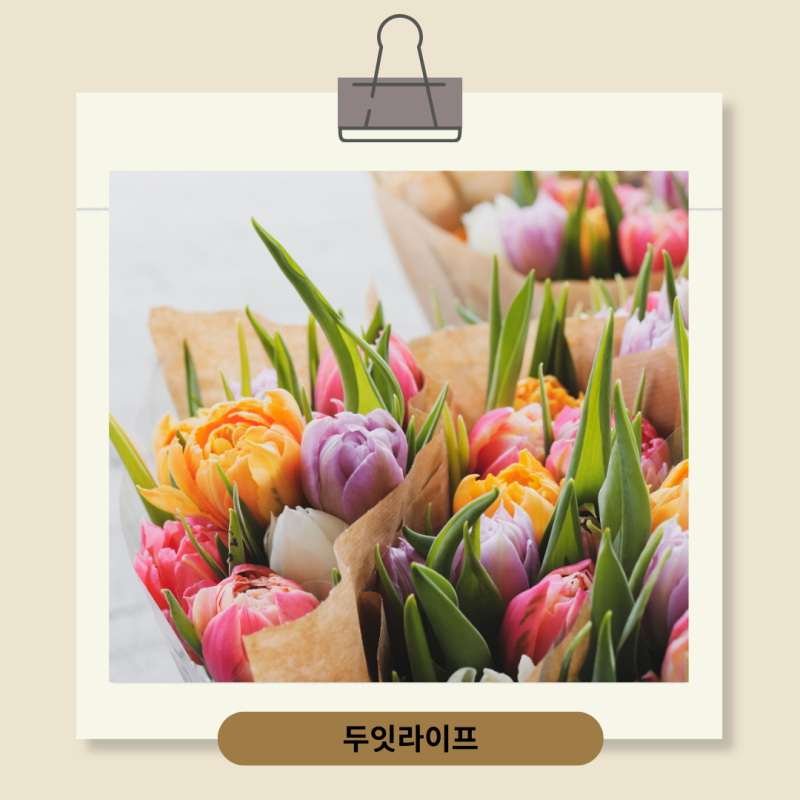 꽃다발 버리는법, 재활용 가능할까? 포장지부터 다릅니다