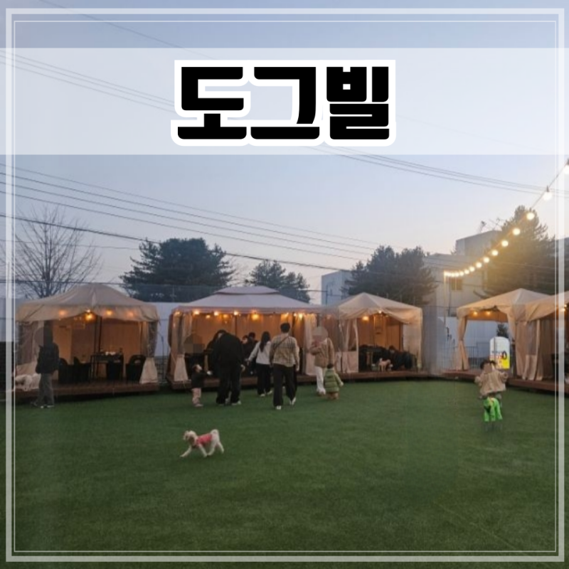 사진 9