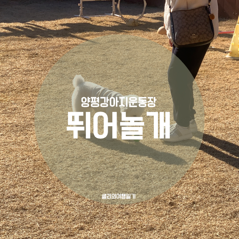 사진 6