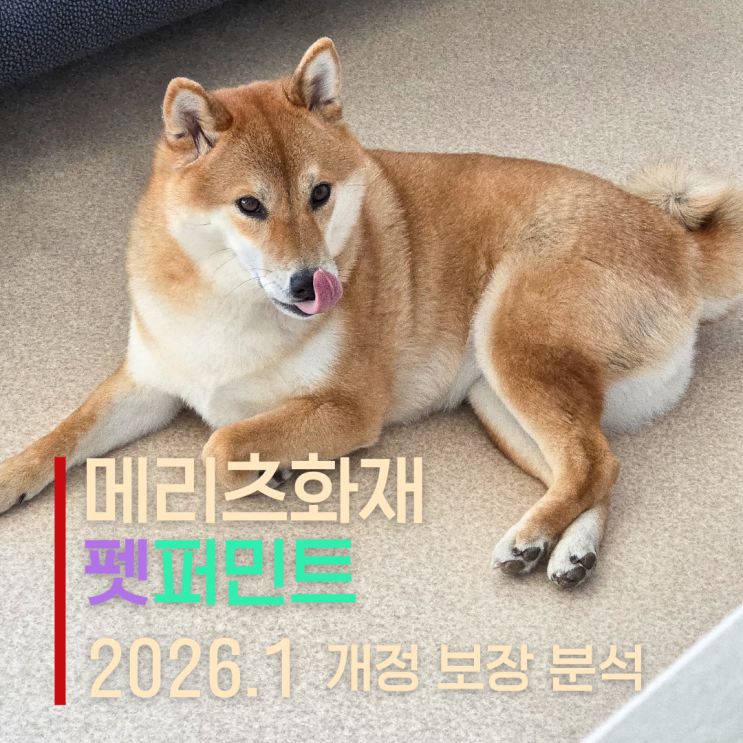  강아지 보험 메리츠 펫퍼민트 2026, 고급형·기본형·실속형 무엇이 다른가