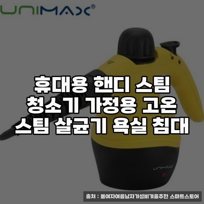 휴대용 핸디 스팀 청소기 사용 후기와 활용 팁