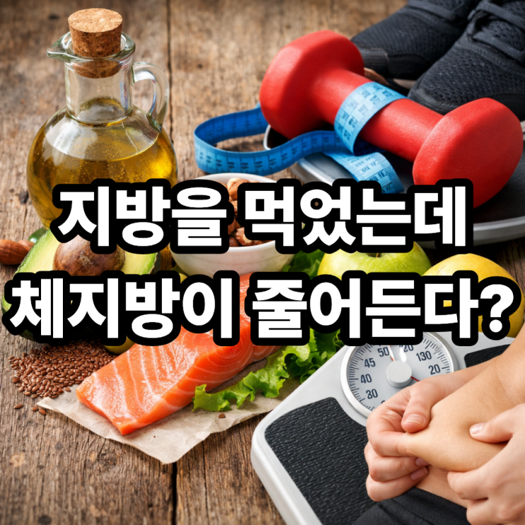  불포화지방과 체지방 감소의 과학적 근거｜살이 빠지는 지방이 존재하는 이유