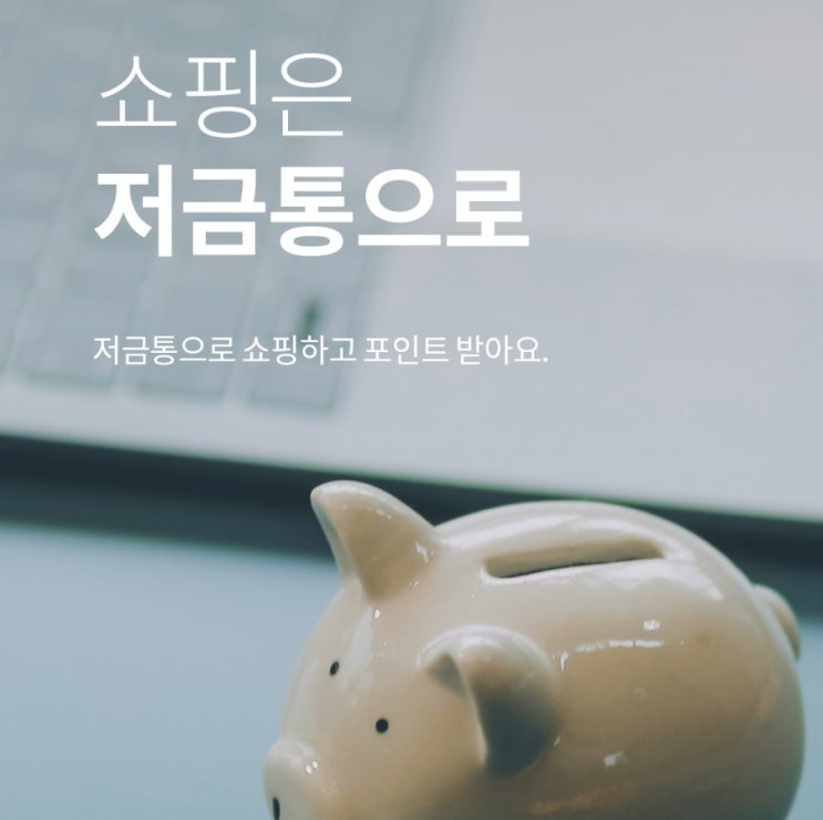  레뷰｜레뷰쇼핑 저금통 네이버플러스스토어 쇼핑적립 이용 후기
