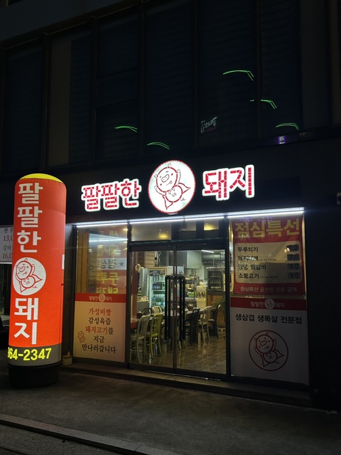 팔팔한돼지 사진 1