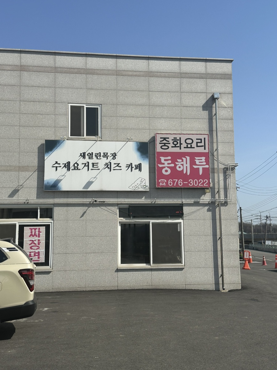 옛날손짜장 사진 1