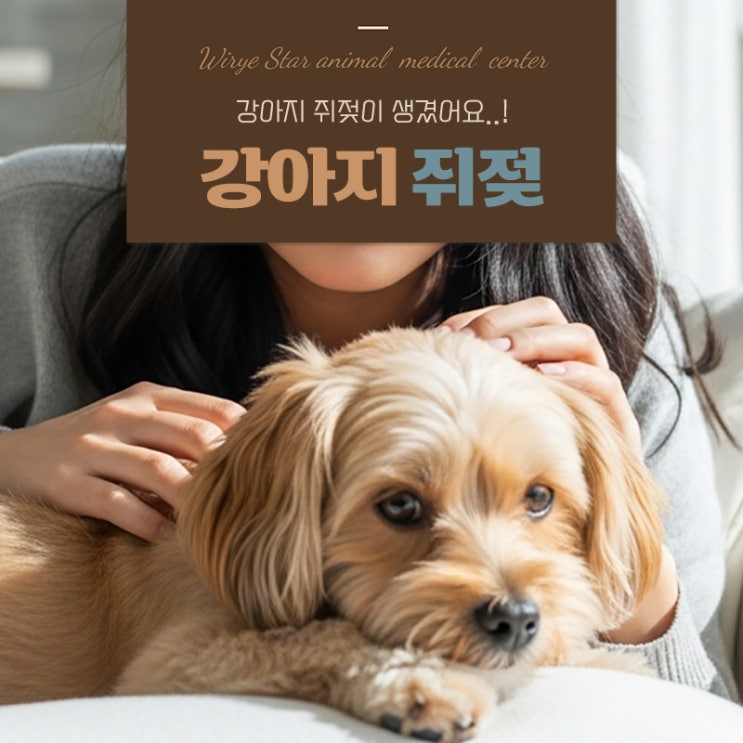  강아지 쥐젖 같이 생긴 혹, 제거해야 할까?
