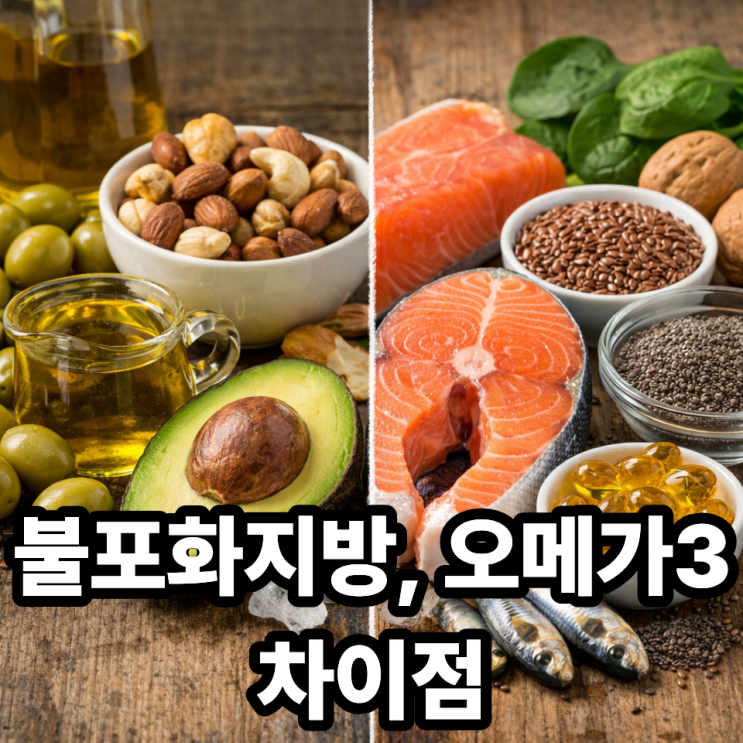  불포화지방과 오메가3의 차이점 정리｜같은 듯 다른 지방 이야기