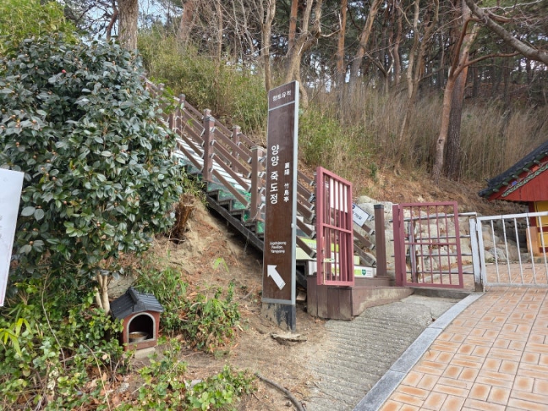 사진 6