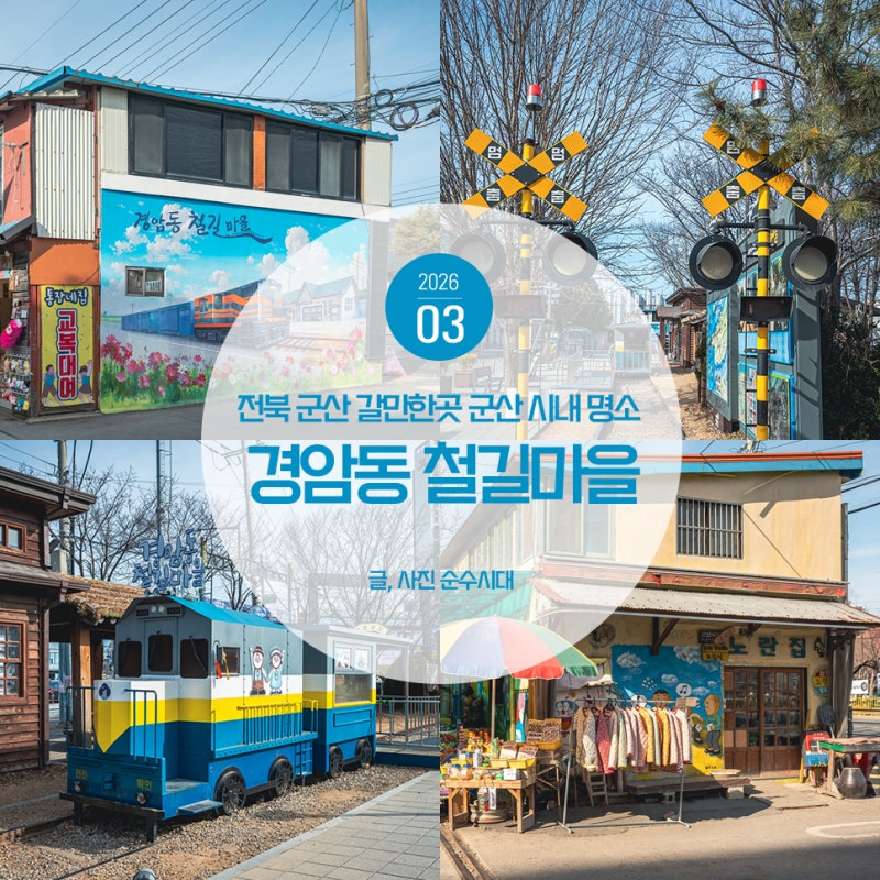 사진 5