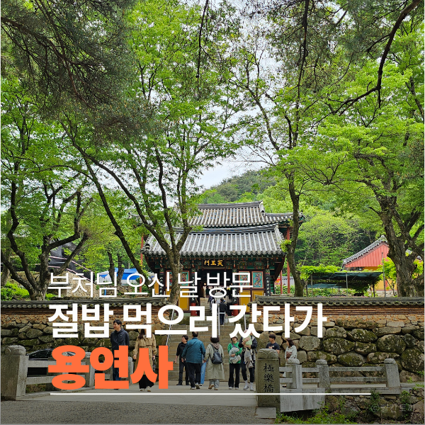  대구 달성 용연사 부처님 오신 날 절밥 후기｜주차 정보·적멸보궁까지 정리