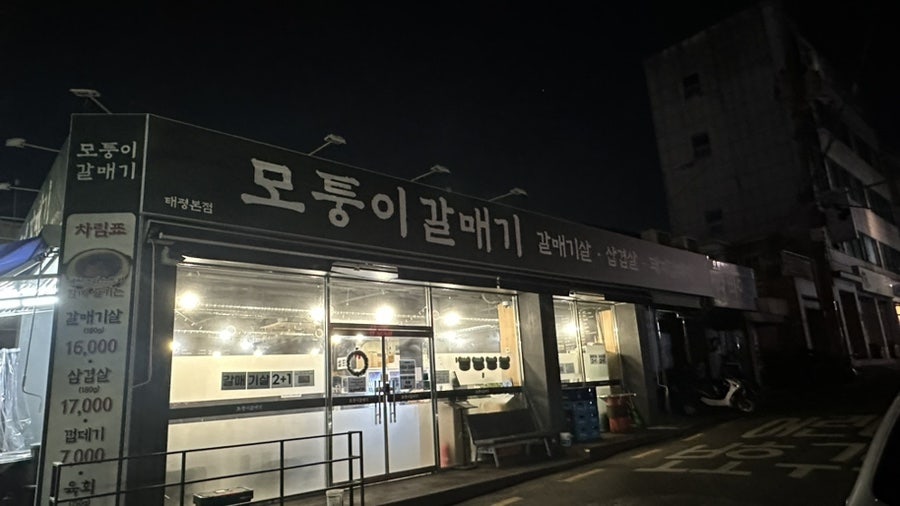 모퉁이갈매기 사진 1