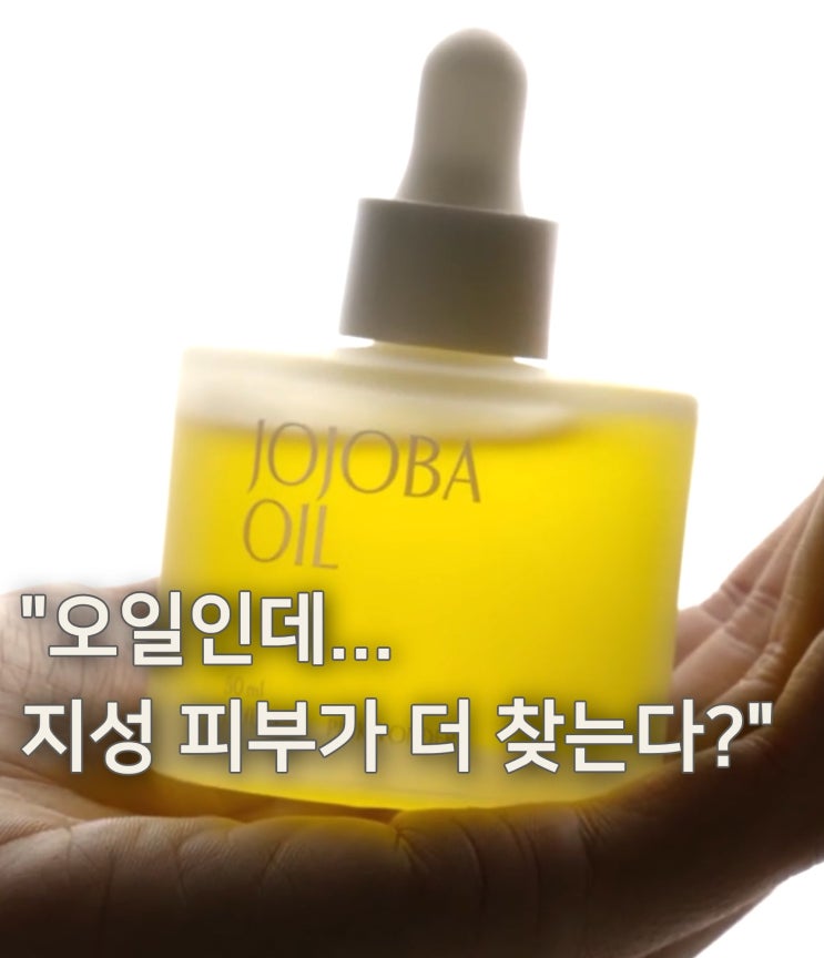  핑크원더 호호바오일 효능 완전정리 | 오일인데 지성 피부가 더 많이 검색하는 이유
