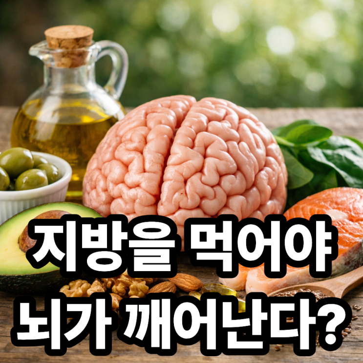  불포화지방이 두뇌 건강에 좋은 이유｜기억력·집중력에 도움 되는 지방의 역할